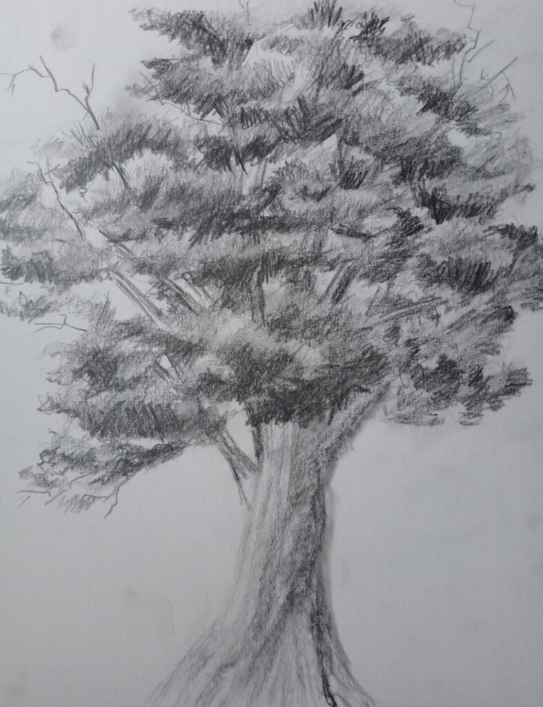 A resilient walnut tree standing tall, its trimmed branches whispering stories of endurance under a sun-scorched sky.